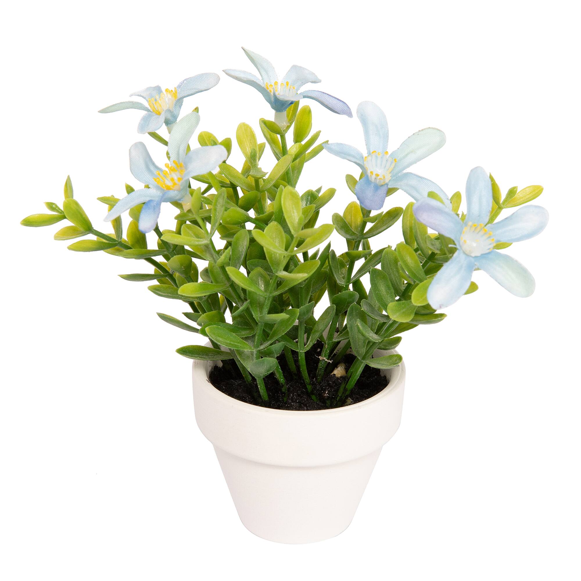Assorted Micro Premade Flowering Plant, 1pc. by Ashland®